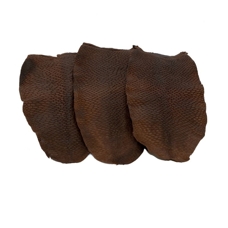 Dark Brown Tanned Beaver Tails – Dakotaline Furs