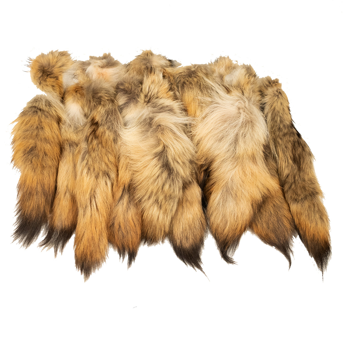 TAIL COLLECTION – Dakotaline Furs