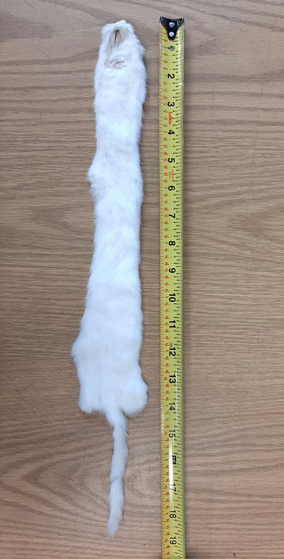 Weasel, HUGE