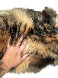 Finn Raccoon Dog Tanuki Fur Pelt (Finland), Tanned