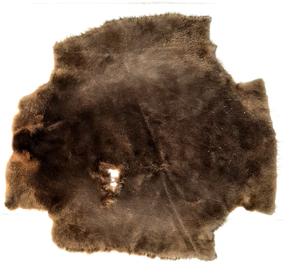 Sheared Beaver Pelt, Imperfect