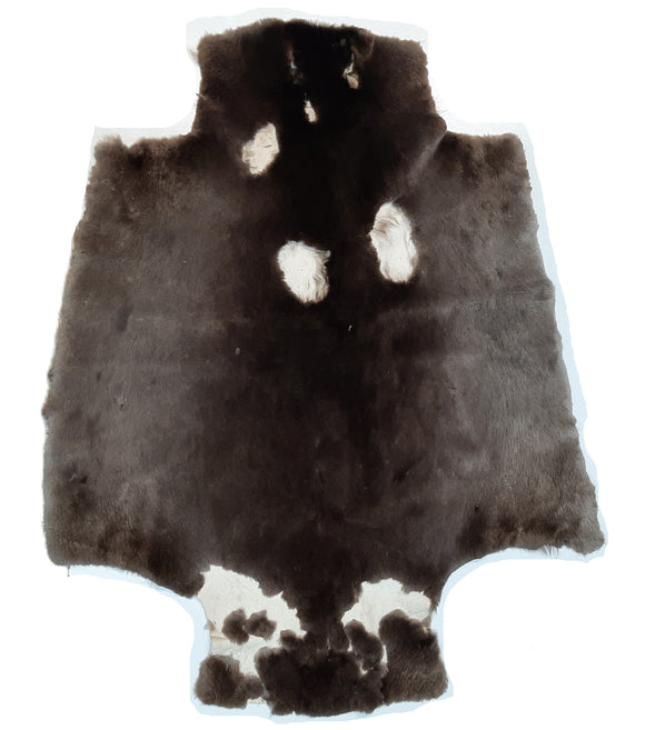 Sheared Beaver Pelt, Damage Grade