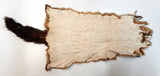 Brush-tail Possum Pelt