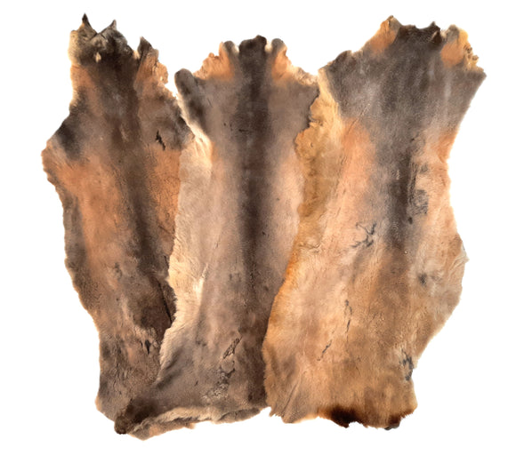 Opossum Pelt, Sheared