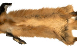 Red Fox Pelt, Imperfect