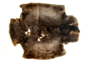 Sheared Beaver Pelt, Damaged