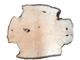 Sheared Beaver Pelt, Damaged