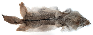 Western Coyote Pelt