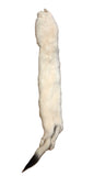 Weasel, Natural White