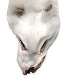 Arctic White Fox Pelt, Ranched