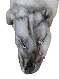 Blue Fox Pelt, Ranched