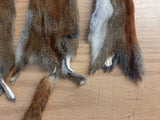 Imperfect Red Pine Squirrel Pelt, 3 or 5