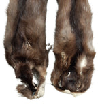 American Wild Mink, Female