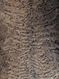 Karakul (Persian Lamb) Hide, Brown