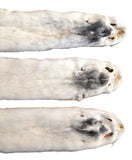 Ranched Mink Pelt, Grey Fleck