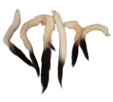 Weasel (Ermine) Tails