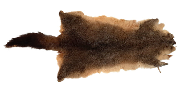 Brush-tail Possum Pelt