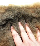 Brush-tail Possum Pelt