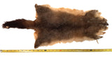 Brush-tail Possum Pelt