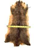 Brush-tail Possum Pelt