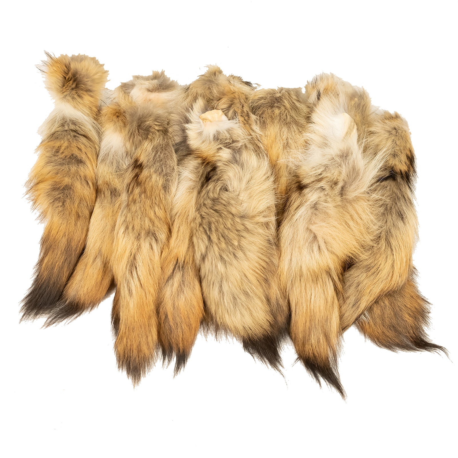 Coyote Tail – Dakotaline Furs
