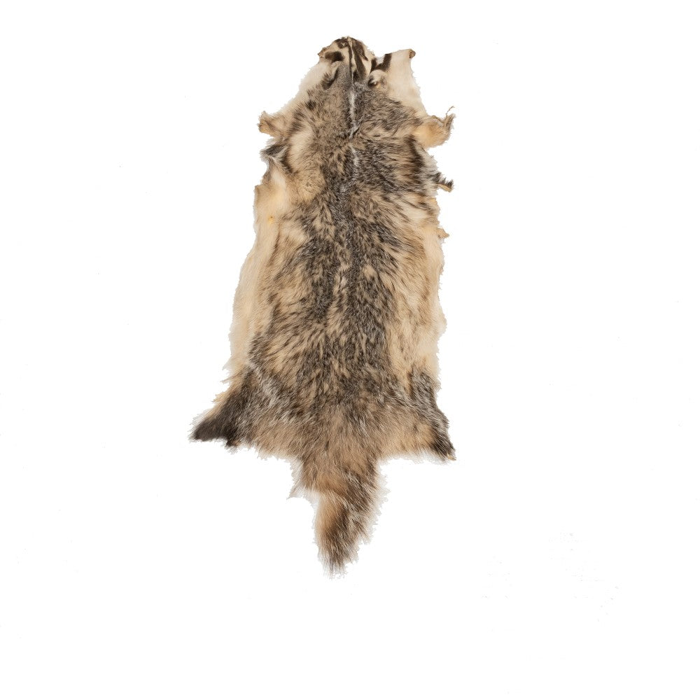 Northern Badger – Dakotaline Furs